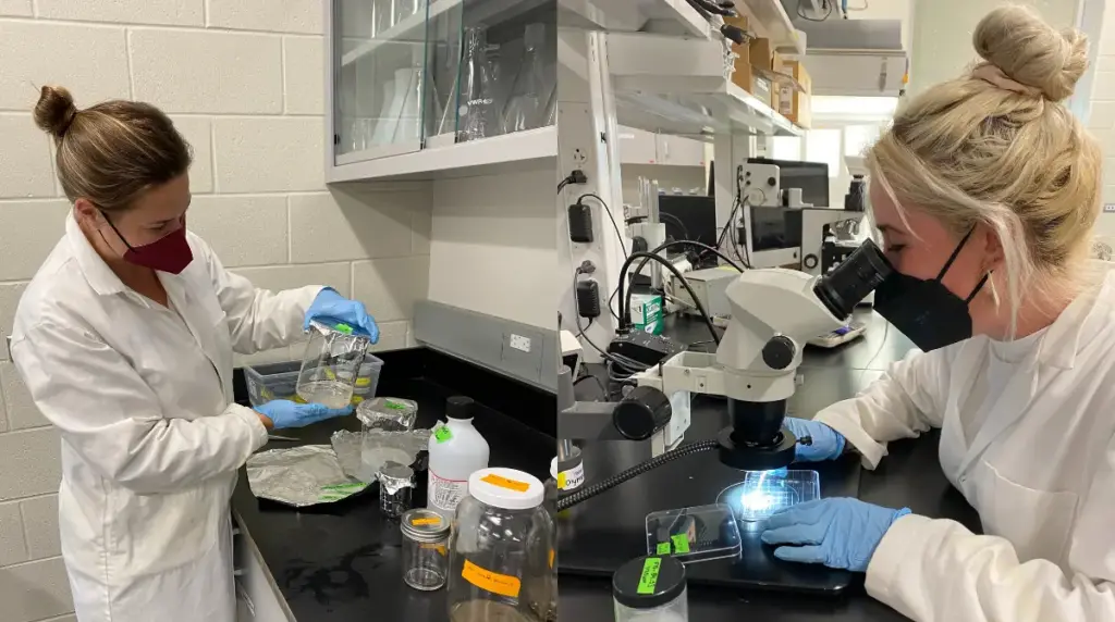 Plastics Research